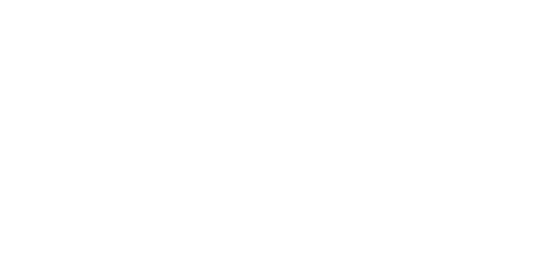 f5 Network logo